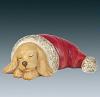 Hund schläft in Nikolausmütze