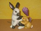 Goebel Hase  # Jahreshase 2011 mit Krokus